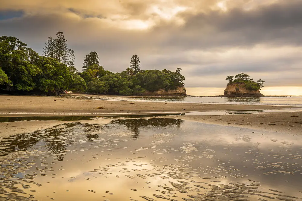 Peaceful sunrise over Browns Bay Beach with reflections on the sand — highlighting the coastal beauty and relaxed lifestyle that make it one of the top 10 reasons to buy a home in Browns Bay, Auckland.